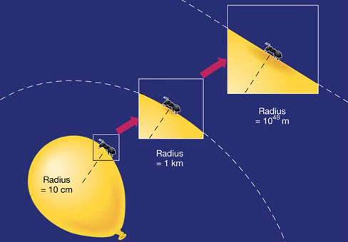 graphic illustrating that curvature is obvious on a small balloon, but not when the balloon is blown up to a very large size