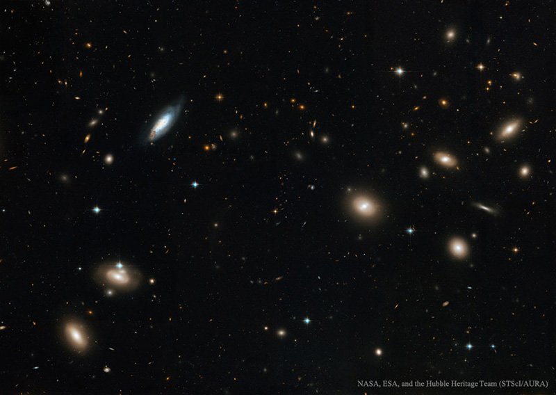 the Coma cluster of galaxies