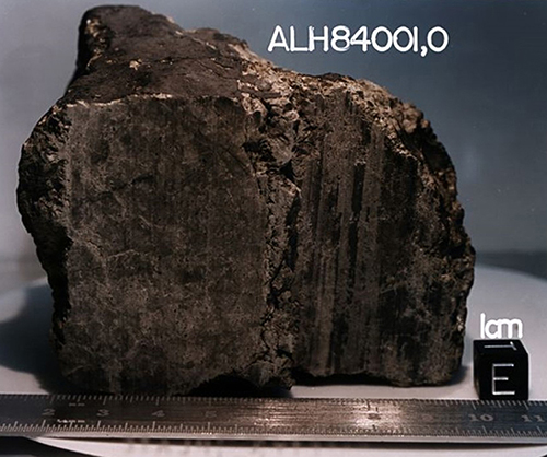The meteoroid ALH84001