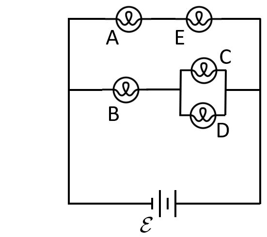 light bulb circuit