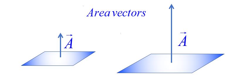 area vector
