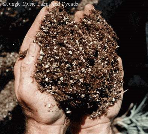 handfull of soil