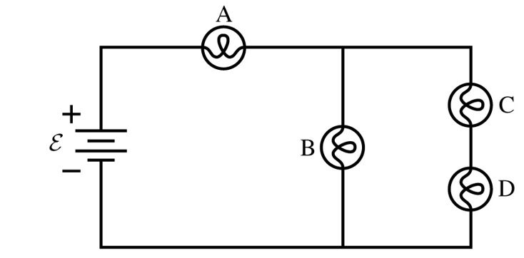 light bulb circuit